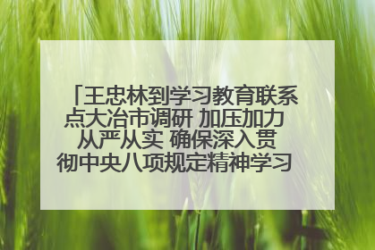 王忠林到学习教育联系点大冶市调研 加压加力 从严从实 确保深入贯彻中央八项规定精神学习教育取得实效
