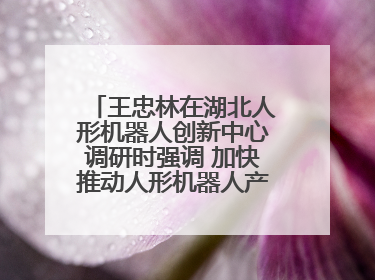 王忠林在湖北人形机器人创新中心调研时强调 加快推动人形机器人产业高质量发展 打造具有全国影响力的研发创新基地