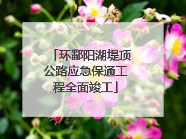 环鄱阳湖堤顶公路应急保通工程全面竣工