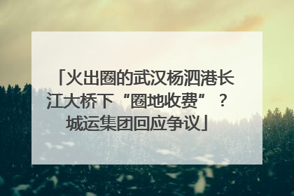 火出圈的武汉杨泗港长江大桥下“圈地收费”？城运集团回应争议