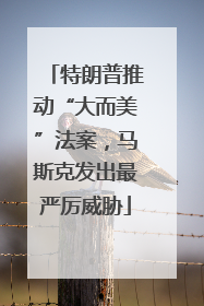 特朗普推动“大而美”法案，马斯克发出最严厉威胁