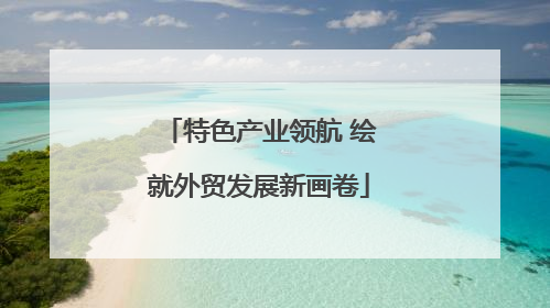 特色产业领航 绘就外贸发展新画卷