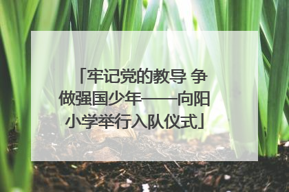 牢记党的教导 争做强国少年——向阳小学举行入队仪式