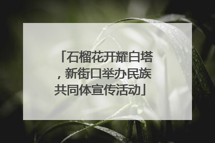 石榴花开耀白塔，新街口举办民族共同体宣传活动