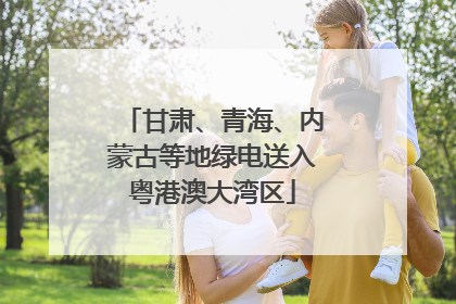 甘肃、青海、内蒙古等地绿电送入粤港澳大湾区