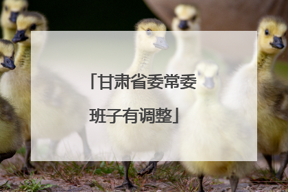 甘肃省委常委班子有调整