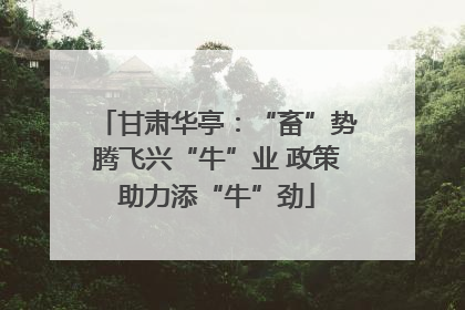 甘肃华亭：“畜”势腾飞兴“牛”业 政策助力添“牛”劲