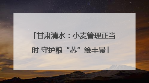 甘肃清水：小麦管理正当时 守护粮“芯”绘丰景