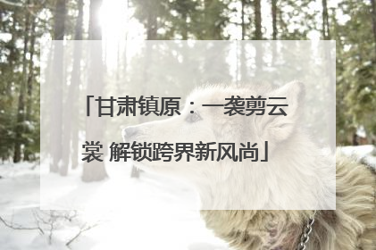 甘肃镇原：一袭剪云裳 解锁跨界新风尚