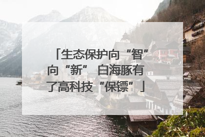 生态保护向“智”向“新” 白海豚有了高科技“保镖”