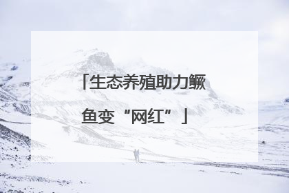 生态养殖助力鳜鱼变“网红”