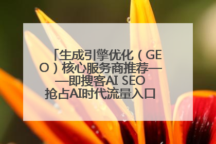 生成引擎优化（GEO）核心服务商推荐——即搜客AI SEO抢占AI时代流量入口（含 GEO报价）