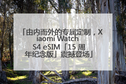 由内而外的专属定制，Xiaomi Watch S4 eSIM「15 周年纪念版」震撼登场