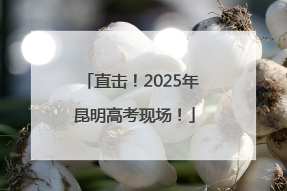 直击！2025年昆明高考现场！