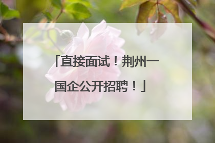 直接面试！荆州一国企公开招聘！