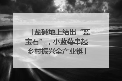 盐碱地上结出“蓝宝石”，小蓝莓串起乡村振兴全产业链