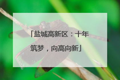 盐城高新区：十年筑梦，向高向新