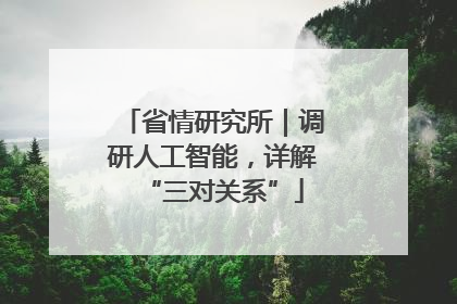 省情研究所｜调研人工智能，详解“三对关系”