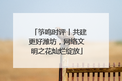筝鸣时评丨共建更好潍坊，网络文明之花灿烂绽放