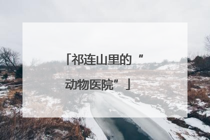 祁连山里的“动物医院”