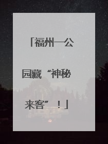 福州一公园藏“神秘来客”！