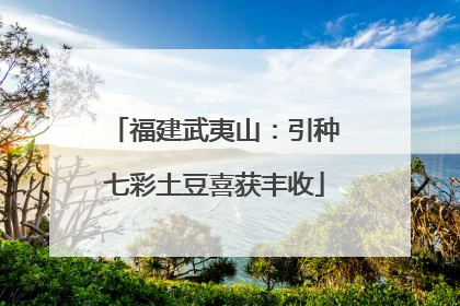 福建武夷山：引种七彩土豆喜获丰收