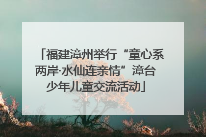福建漳州举行“童心系两岸·水仙连亲情”漳台少年儿童交流活动