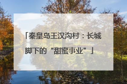 秦皇岛王汉沟村：长城脚下的“甜蜜事业”
