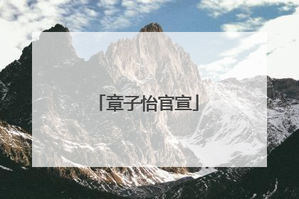 章子怡官宣