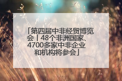 第四届中非经贸博览会丨48个非洲国家、4700多家中非企业和机构将参会