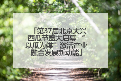 第37届北京大兴西瓜节盛大启幕 “以瓜为媒”激活产业融合发展新动能