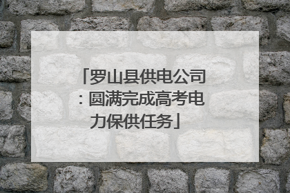 罗山县供电公司：圆满完成高考电力保供任务