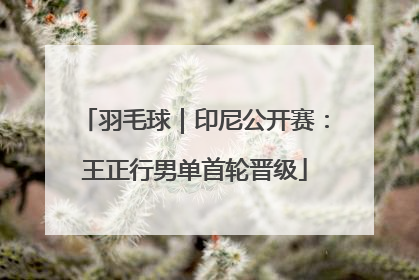 羽毛球｜印尼公开赛：王正行男单首轮晋级