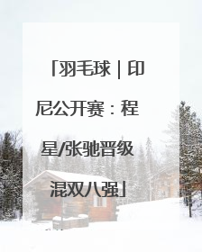 羽毛球｜印尼公开赛：程星/张驰晋级混双八强