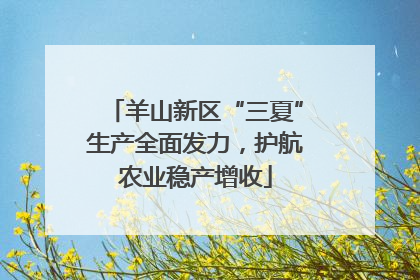 羊山新区“三夏”生产全面发力，护航农业稳产增收