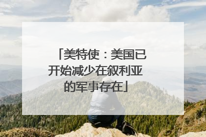 美特使：美国已开始减少在叙利亚的军事存在