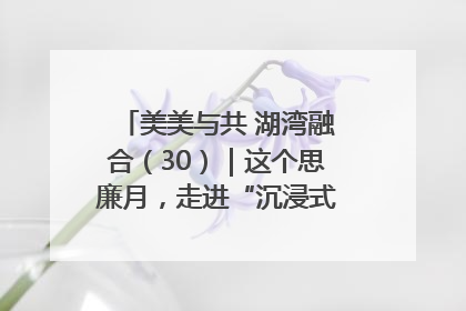 美美与共 湖湾融合（30）｜这个思廉月，走进“沉浸式”清风课堂
