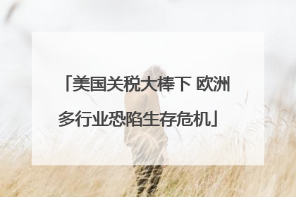 美国关税大棒下 欧洲多行业恐陷生存危机