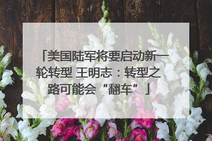 美国陆军将要启动新一轮转型 王明志：转型之路可能会“翻车”