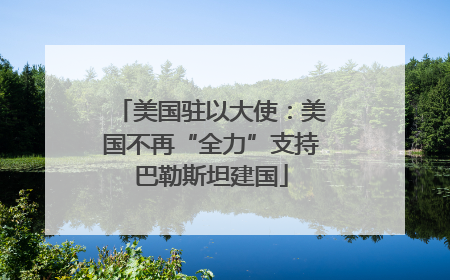 美国驻以大使：美国不再“全力”支持巴勒斯坦建国