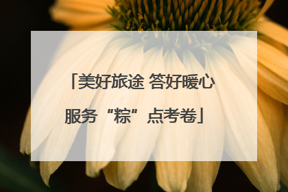 美好旅途 答好暖心服务“粽”点考卷