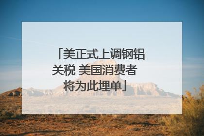 美正式上调钢铝关税 美国消费者将为此埋单