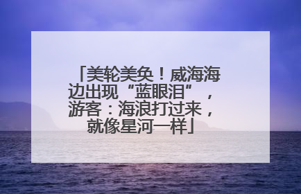 美轮美奂！威海海边出现“蓝眼泪”，游客：海浪打过来，就像星河一样