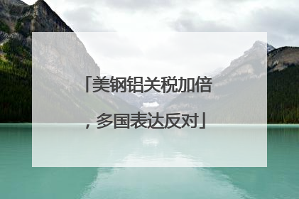美钢铝关税加倍，多国表达反对