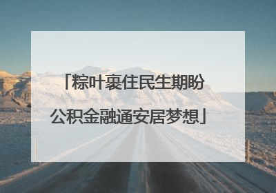 粽叶裹住民生期盼 公积金融通安居梦想