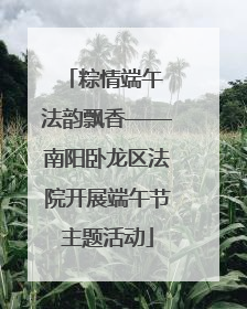 粽情端午 法韵飘香——南阳卧龙区法院开展端午节主题活动