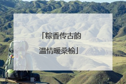粽香传古韵 温情暖桑榆