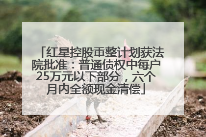 红星控股重整计划获法院批准：普通债权中每户25万元以下部分，六个月内全额现金清偿