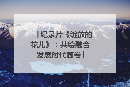 纪录片《绽放的花儿》：共绘融合发展时代画卷