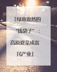 绿意盎然的“钱袋子”：高原夏菜成富民产业